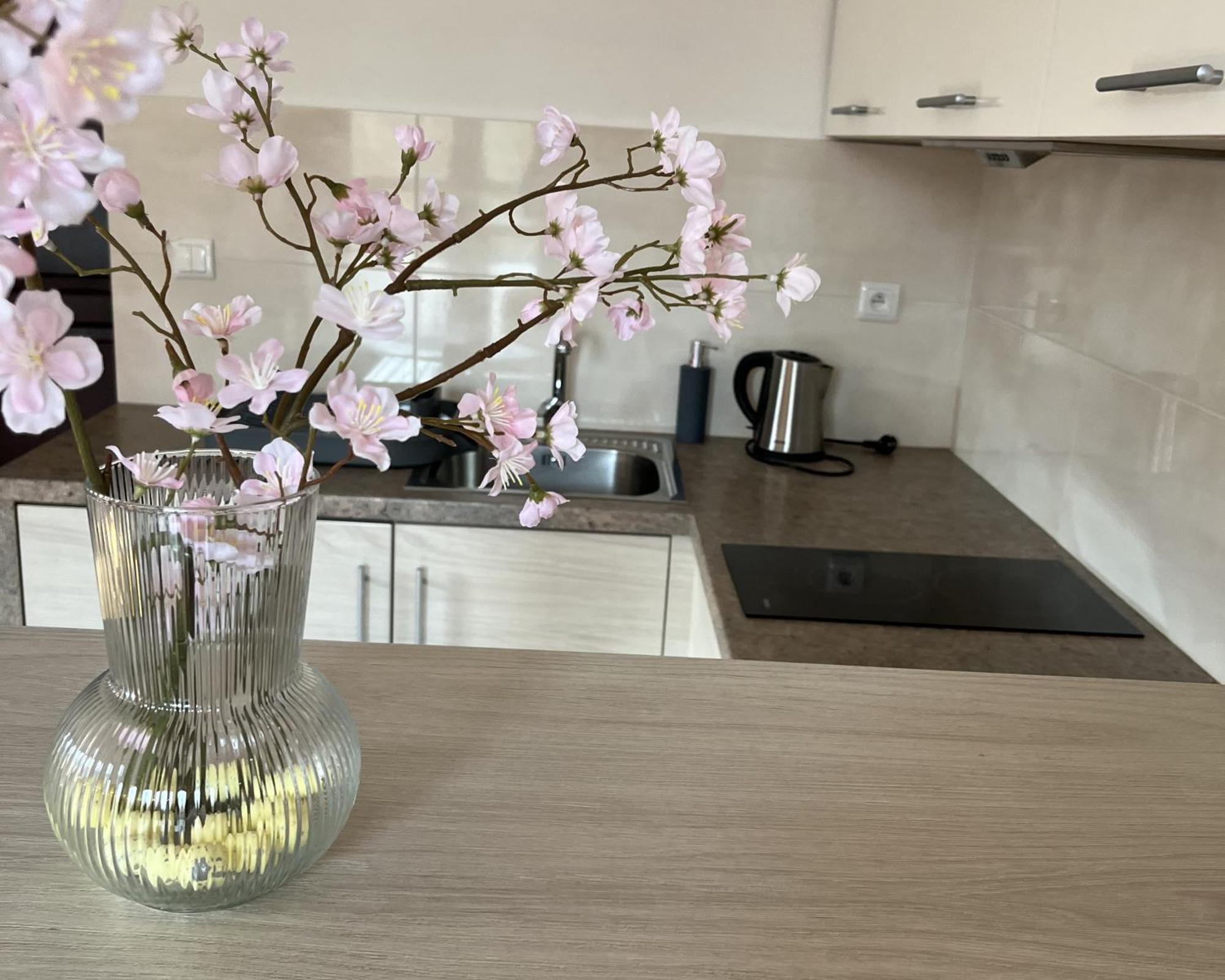 Apartamety I Pokoje Goscinne Na Jaskolczej Świeradów-Zdrój Extérieur photo