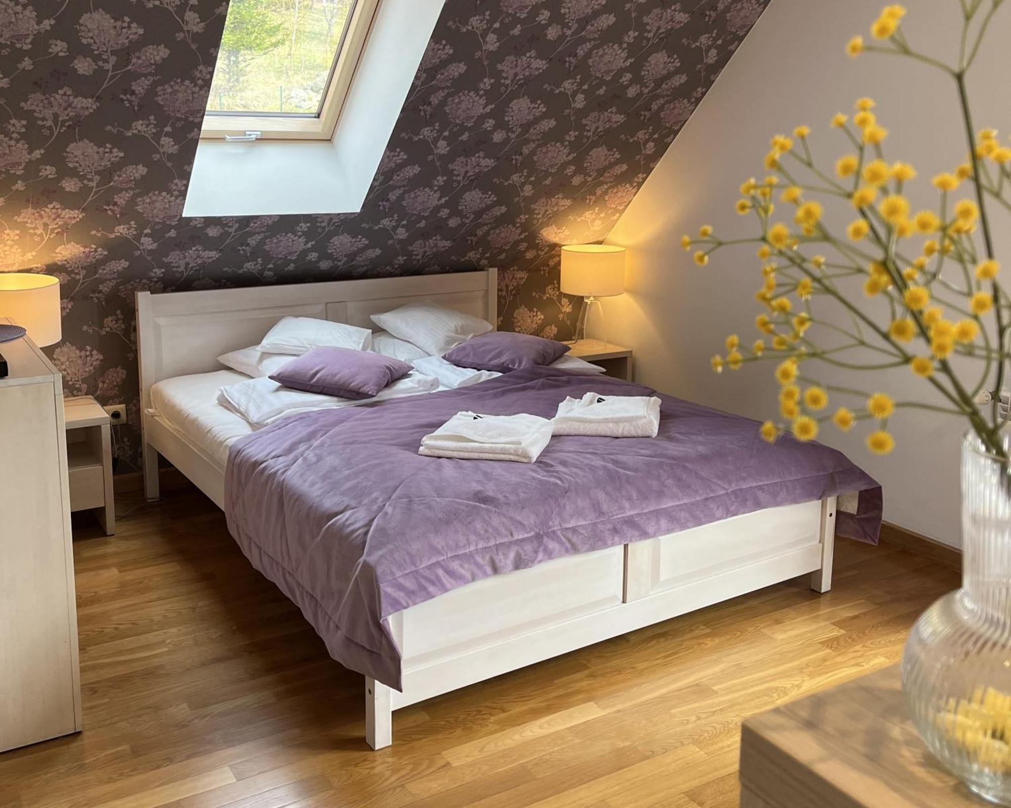 Apartamety I Pokoje Goscinne Na Jaskolczej Świeradów-Zdrój Extérieur photo